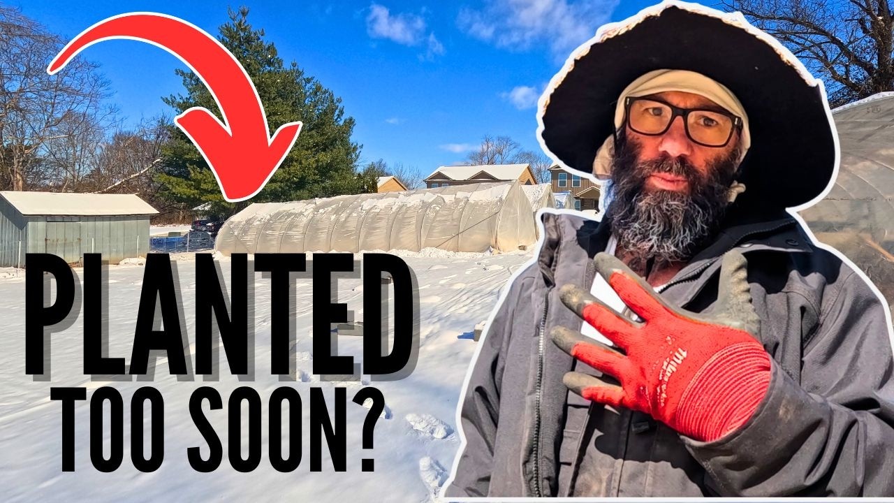 I Planted 5 Crops Too Early In Winter… What Actually Survived?