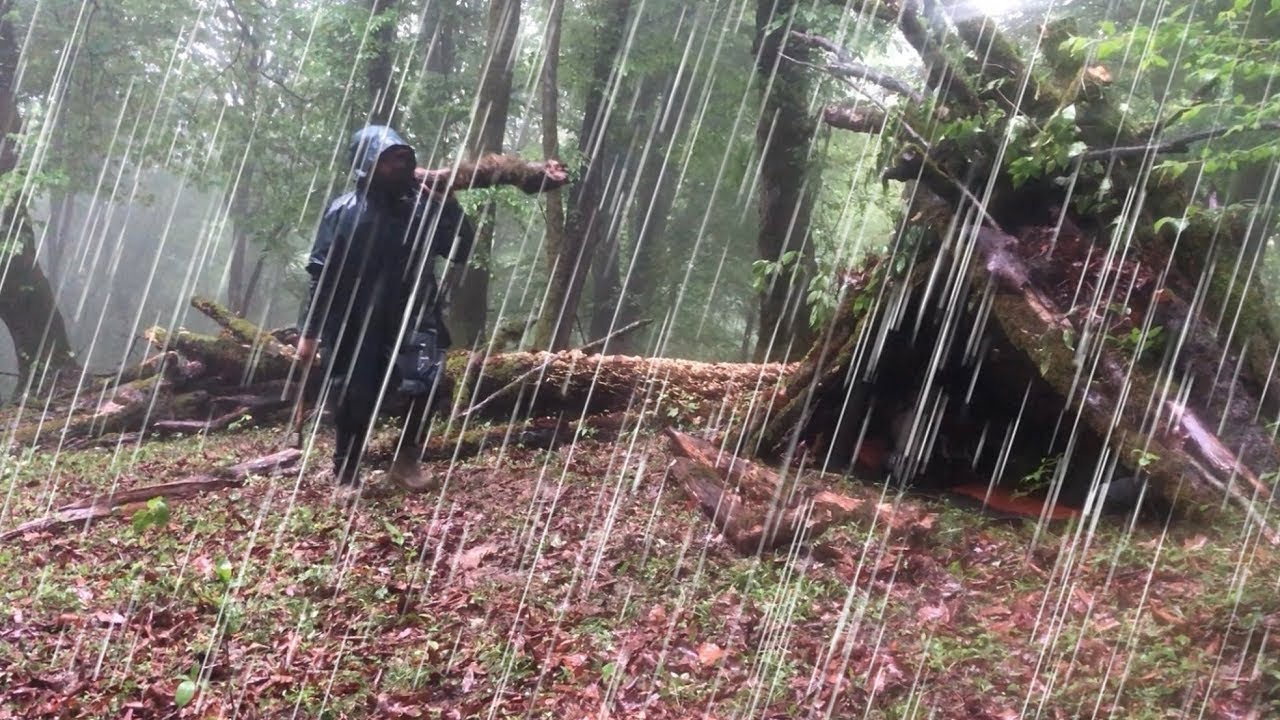 2 Days Trapped in Heavy Rain Alone | Survival Shelter Under the tree (No Talking, ASMR Rain Sounds) 