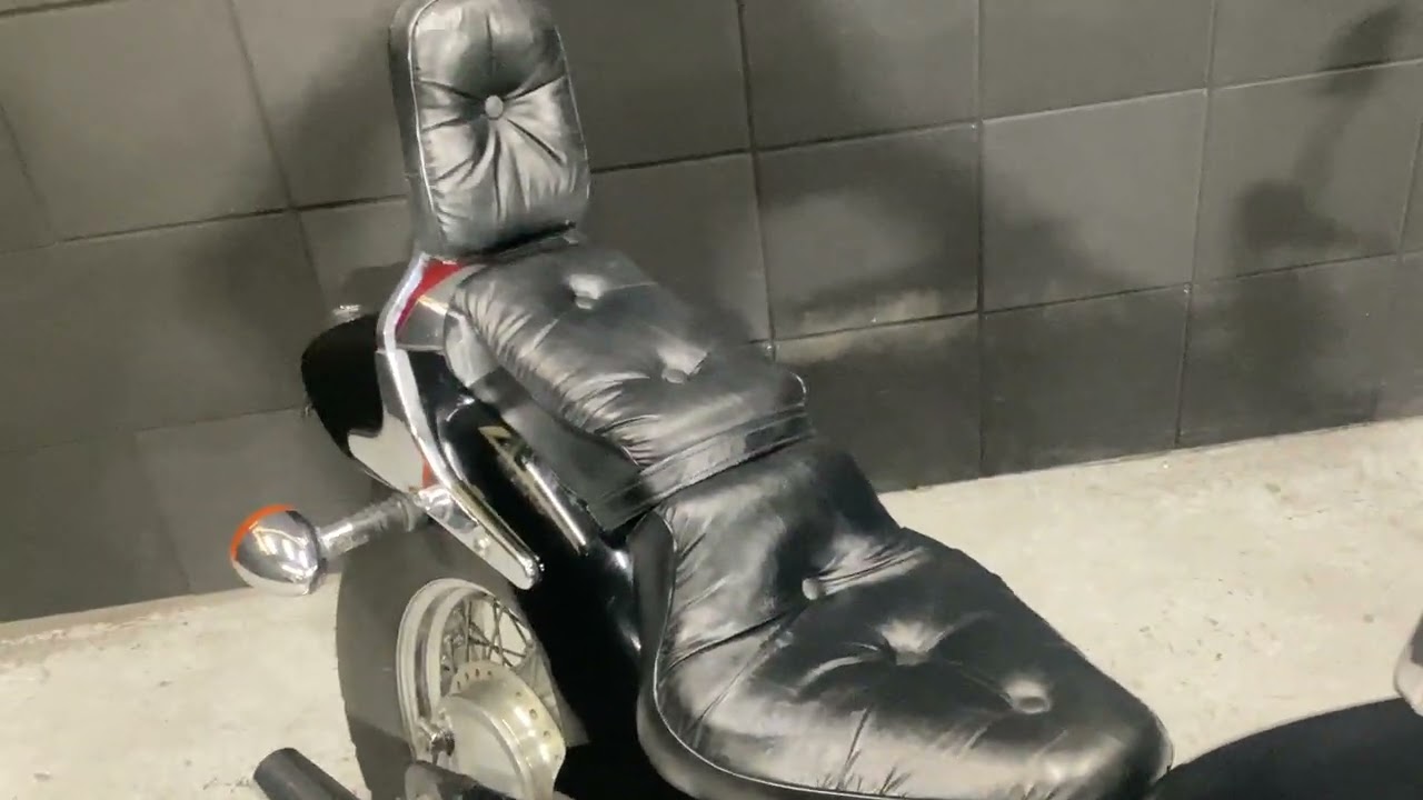 スティード600　手頃なサイズのアメリカンスタイルクルーザー！V型エンジンが美しい【エンジン始動動画】