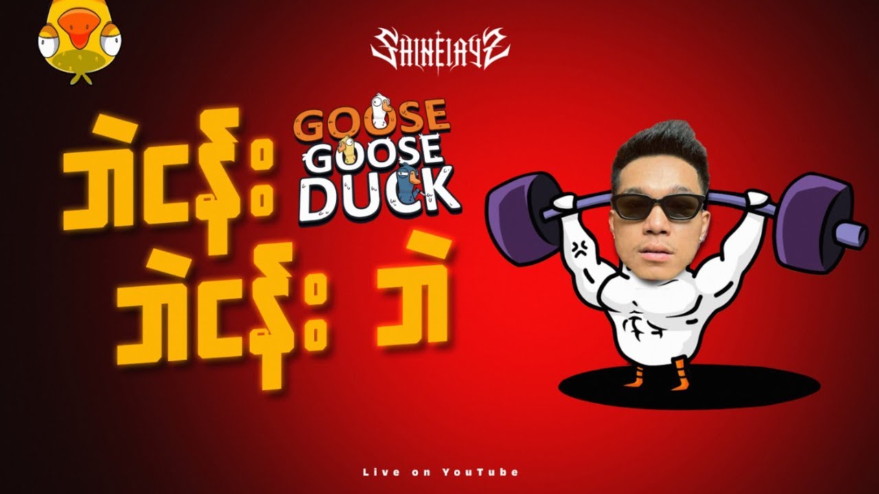 Goose Goose Duck Time !