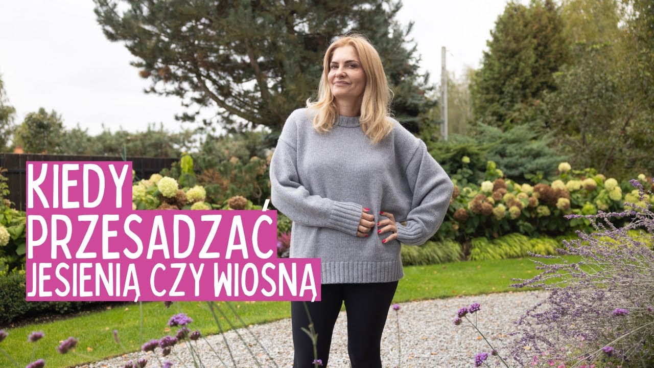 Kiedy przesadzać trawy i byliny? Zobacz, co sprawdza się najlepiej! Prace ogrodowe w październiku