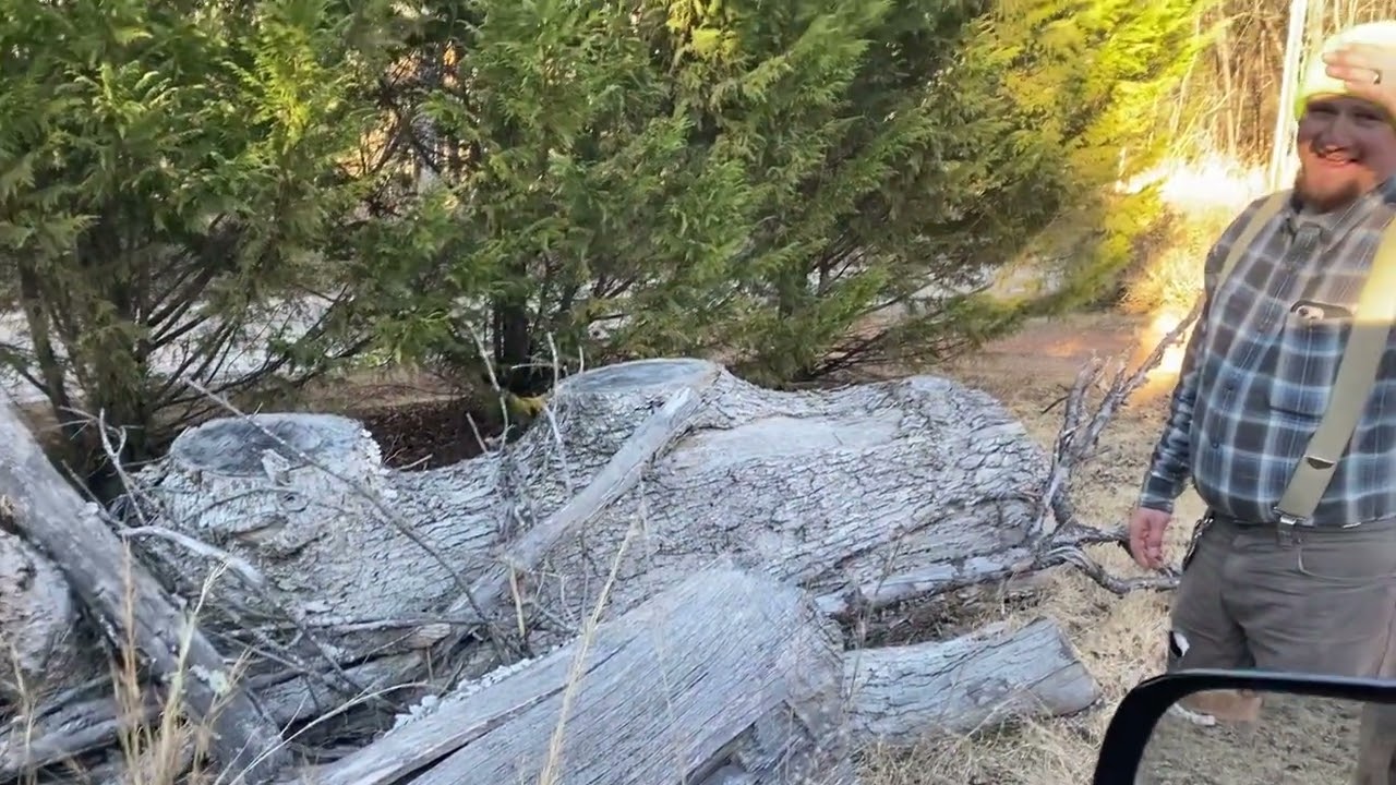 Getting ready for ICE STORM | Firewood