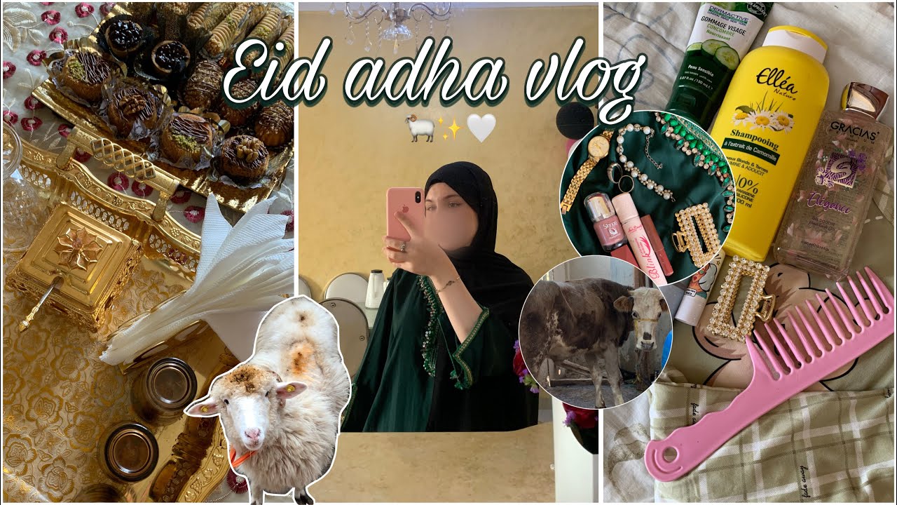 Eid adha vlog 2025 🐏🫶🏻| فلوق عيد الاضحى