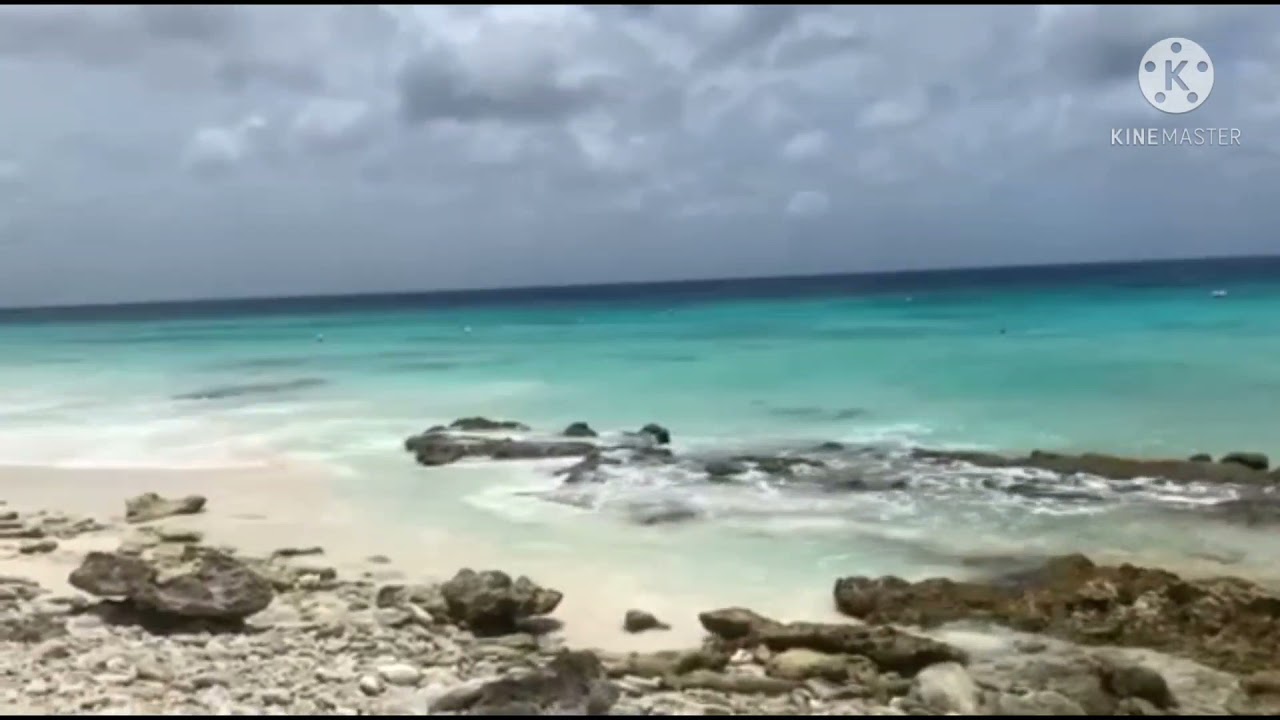 Spectacular Delfin's Resort | Bonaire Caribbean