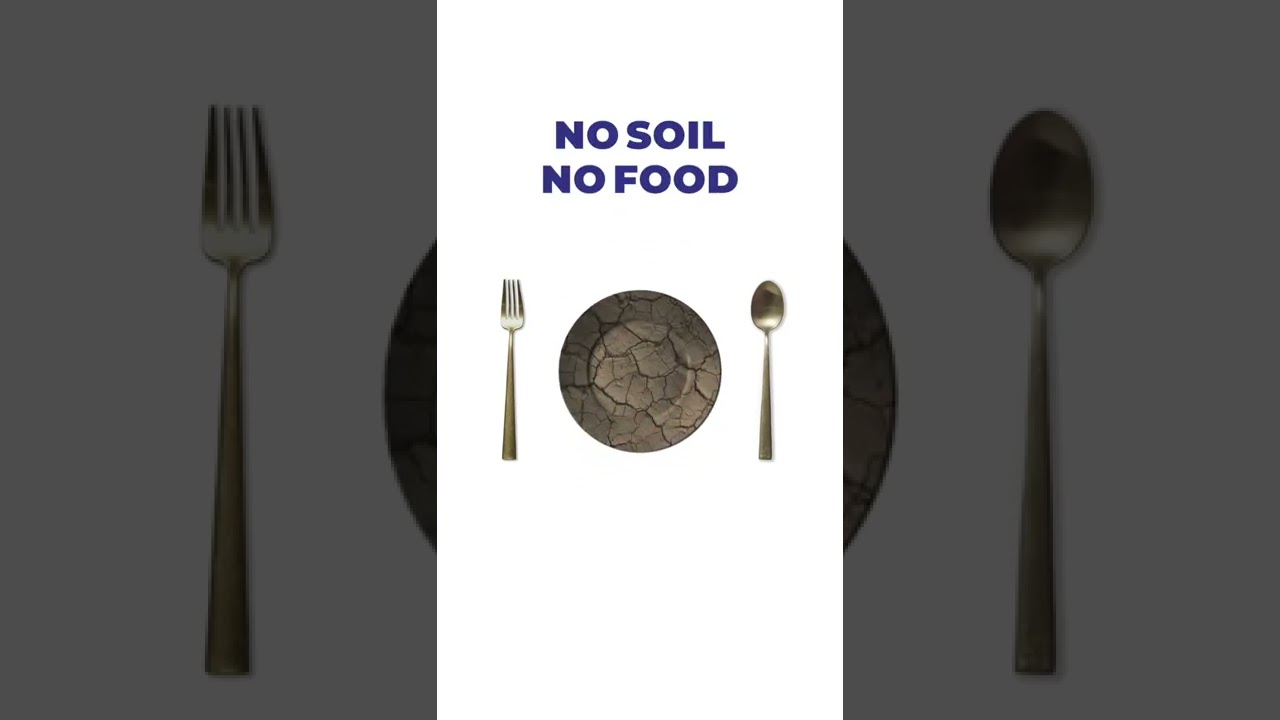 No Soil No Food - Save Soil
