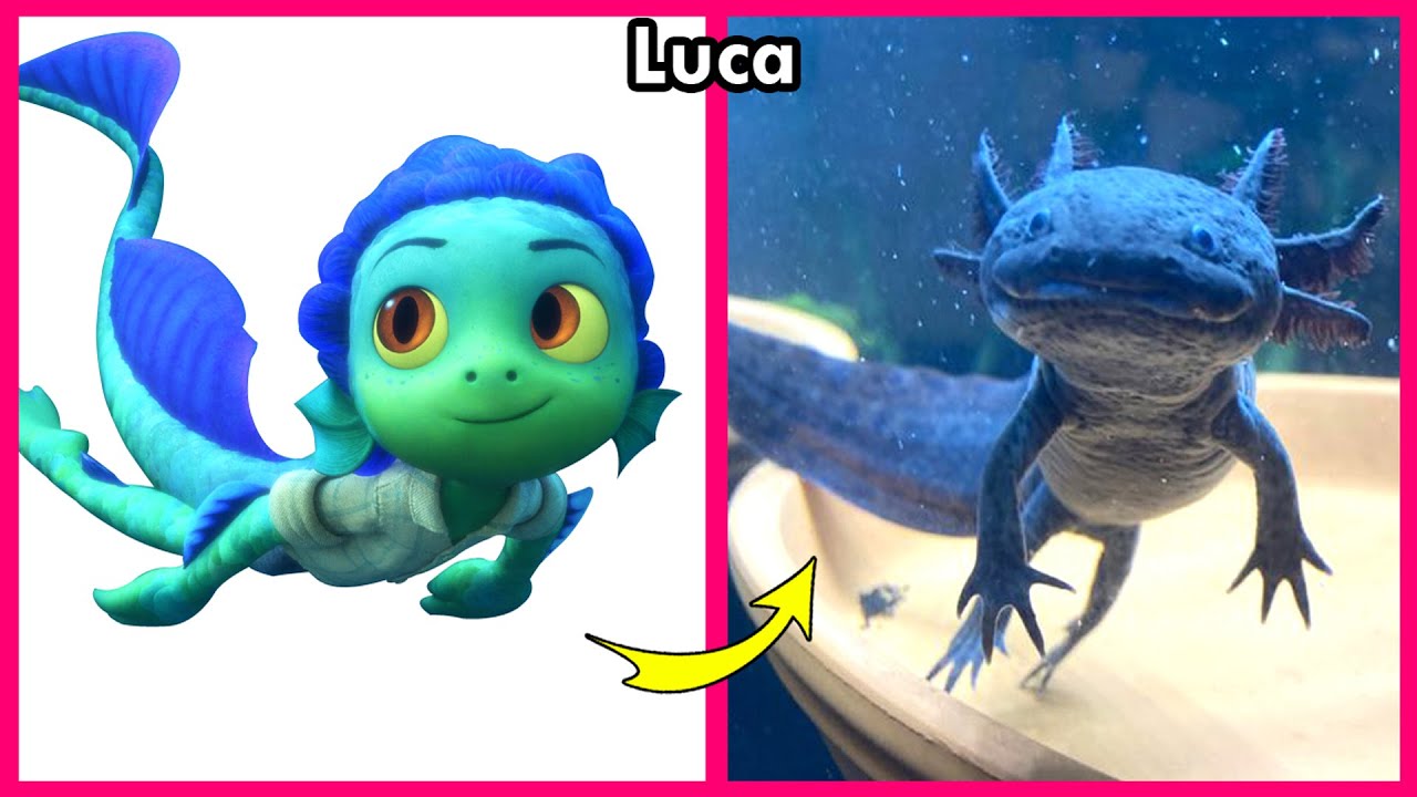 🌊 Disney Luca 🔥 Real Life