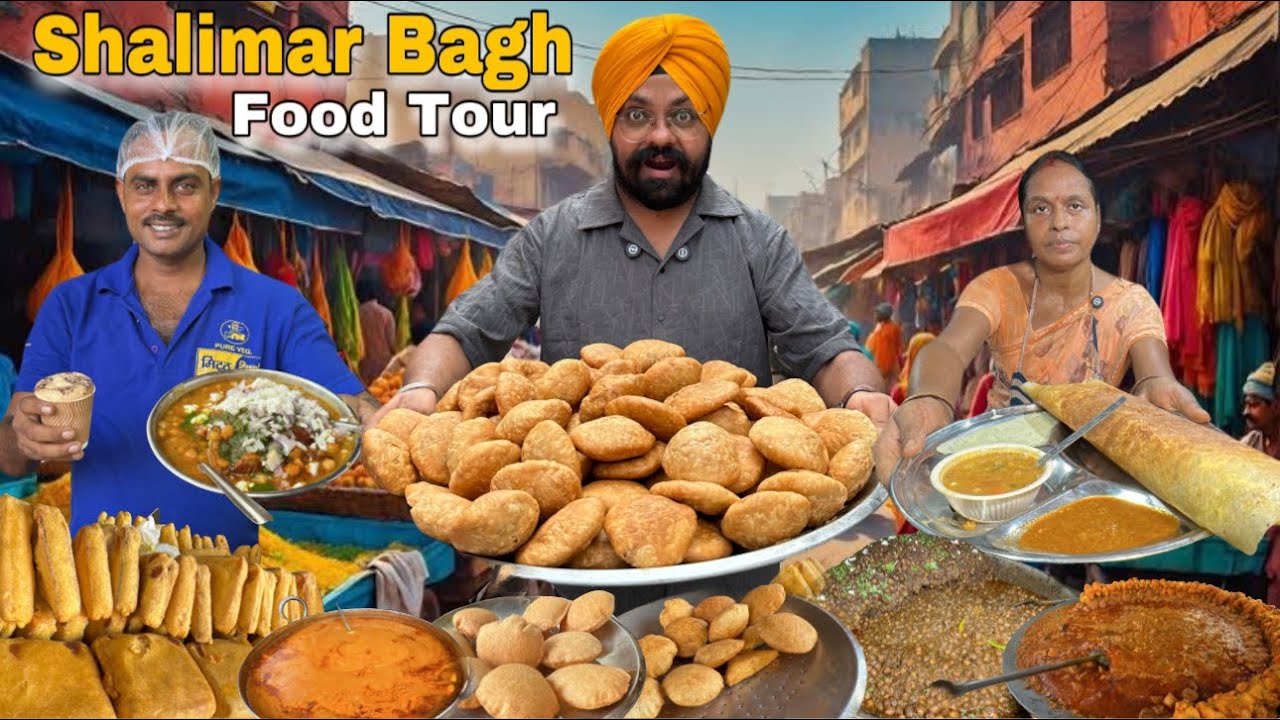 Famous street food in Shalimar Bagh | Bedmi Poori , Stamp wali Tikki , Chaat , Dosa