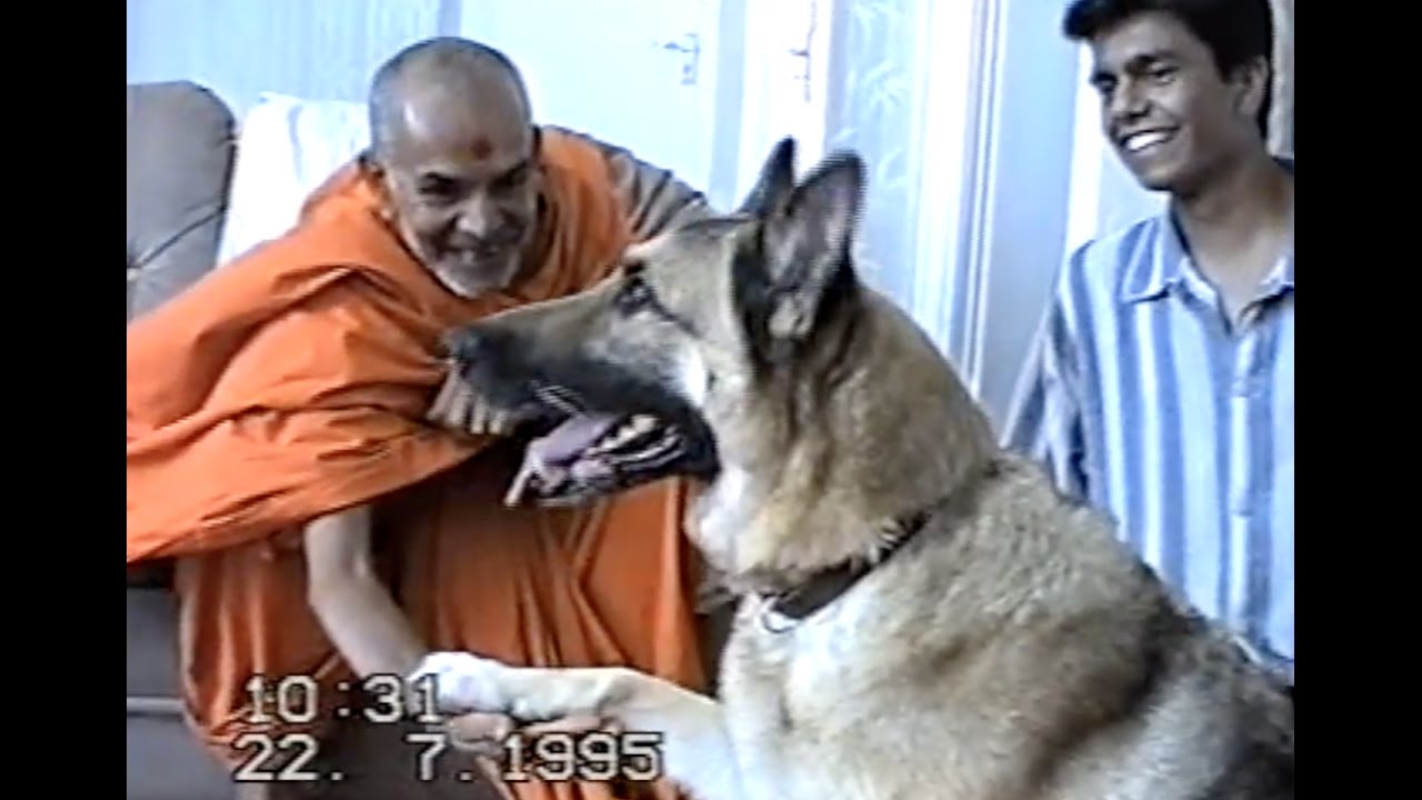 Mahant Swami Maharaj's Stay At Our House London Mandir Mahotsav July 1995 | BAPS |
