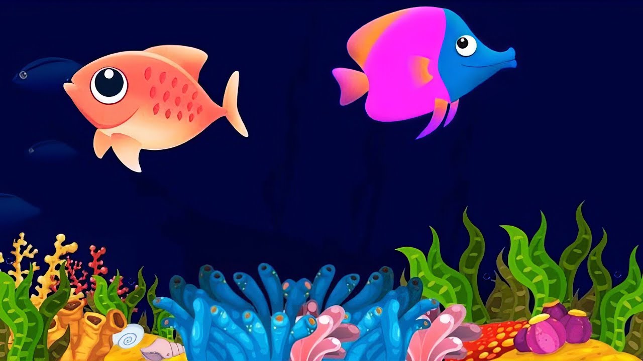 Fish Aquarium🐠🐡 |Meditation💤||Aquarium Animations|