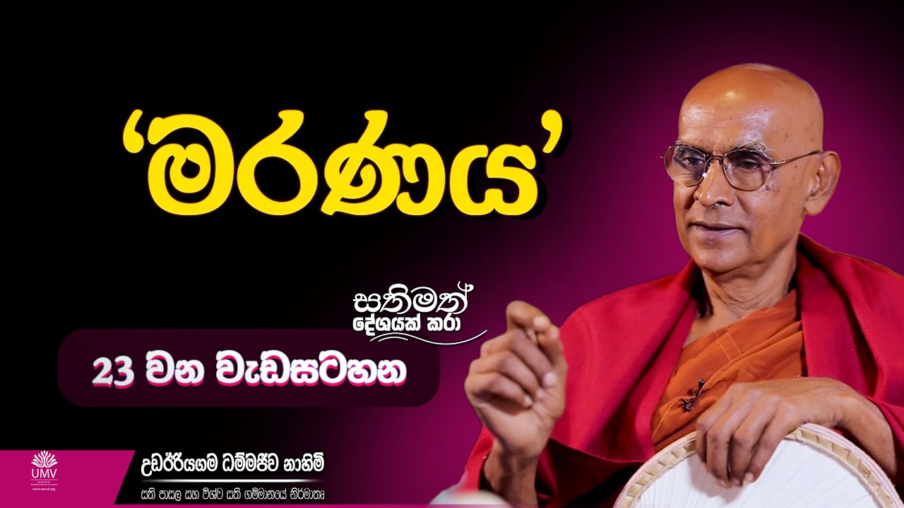 මරණය | අතිපූජ්‍ය උඩඊරියගම ධම්මජීව ස්වාමීන් වහන්සේ |  Episode 23 YT