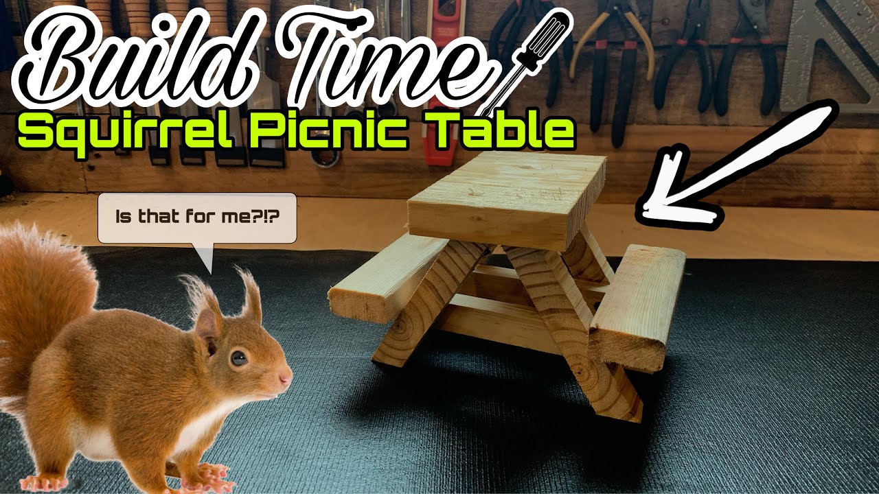 HOW TO BUILD A SQUIRREL SIZE PICNIC TABLE: Meet Jerry the Adorable Squirrel.