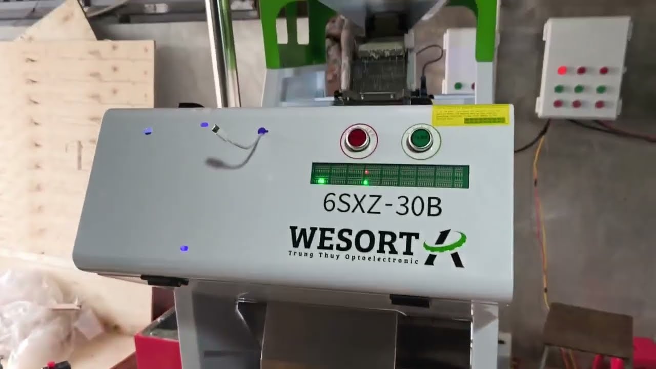 Máy tách gạo tẻ khỏi nguyên liệu nếp - Công nghệ bắn màu 2026 | Wesort 0981 856 269