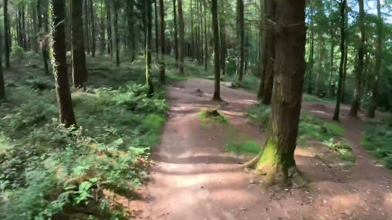 Forest of Dean Corkscrew Black trail