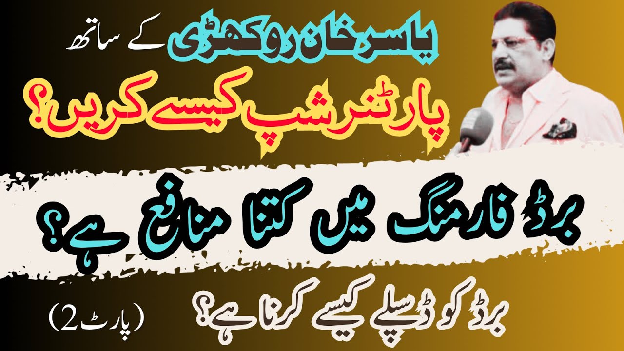 How much you can earn from lovebird farming in Pakistan  - How to become a Yasir Khan Rokhri Partner