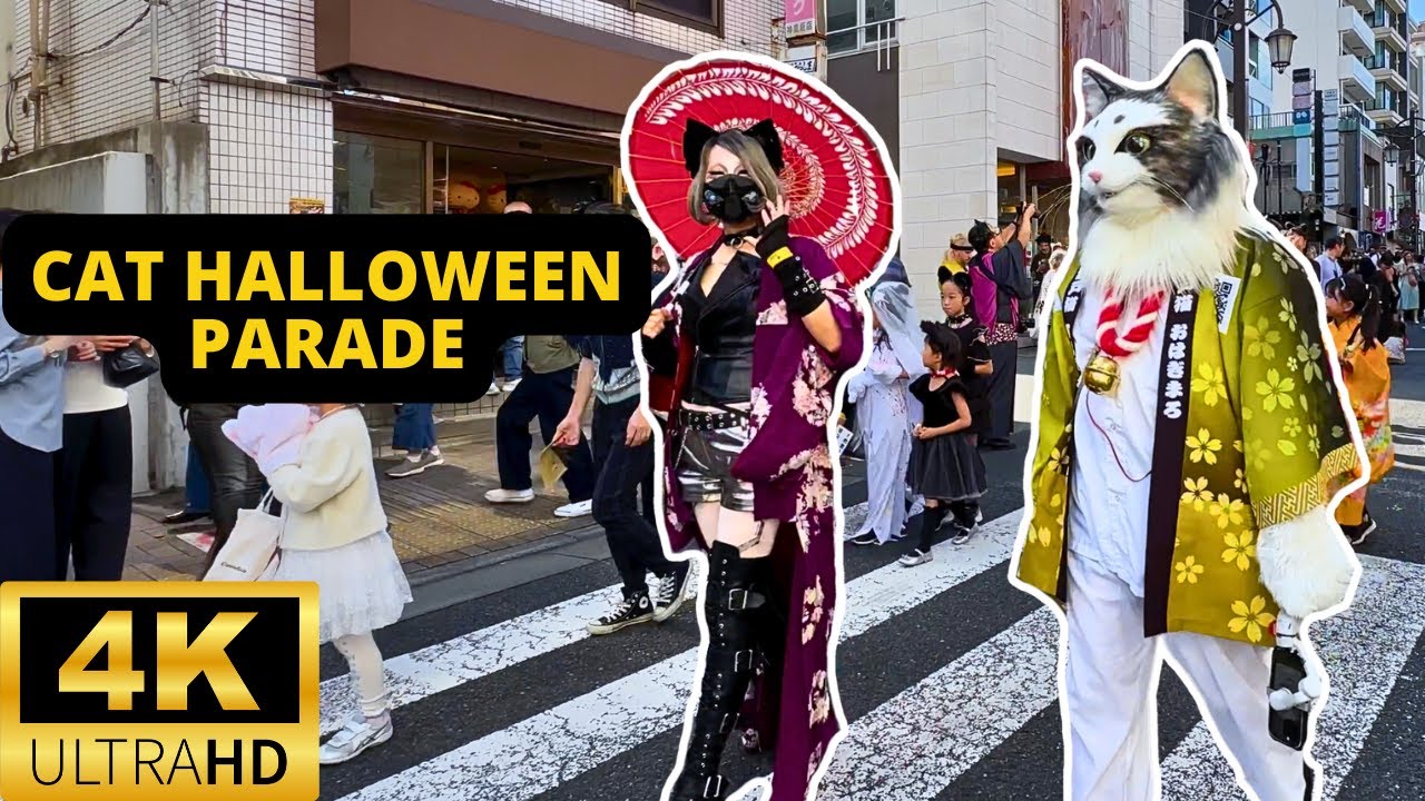 TOKYO, JAPAN 🇯🇵 [4K] Cat Halloween Parade — BAKE NEKO Festival — OCTOBER 2024