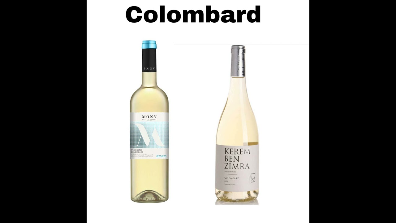 Colombard: Rediscovering an Unsung Hero in the Global Wine Scene