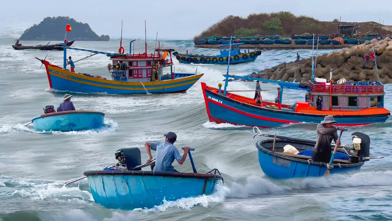 Cửa Biển LAGI Bình Thuận║Ghe Câu Dài Ngày Trúng Khẳm Cá Thu Cá Bớp