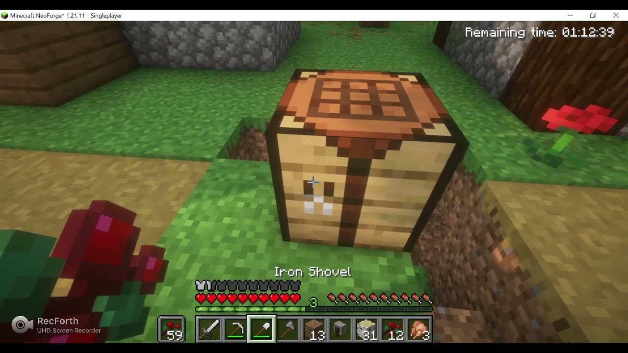 im playing minecraft