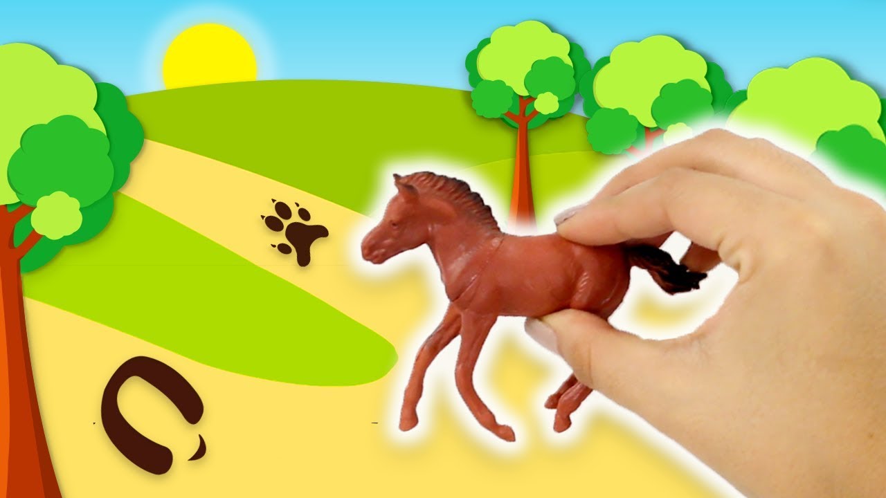 Huellas de animales para niños | video interactivo en español