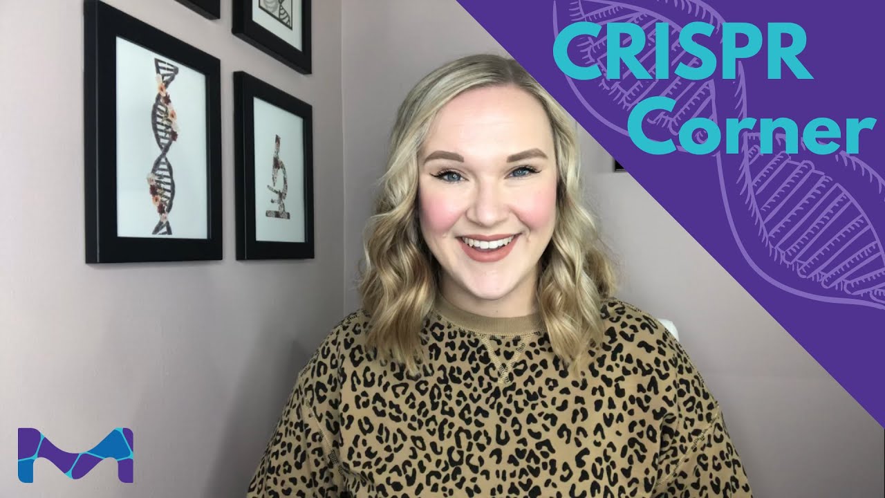 CRISPR Corner 🧬 Episode 5 - Screening with CRISPR