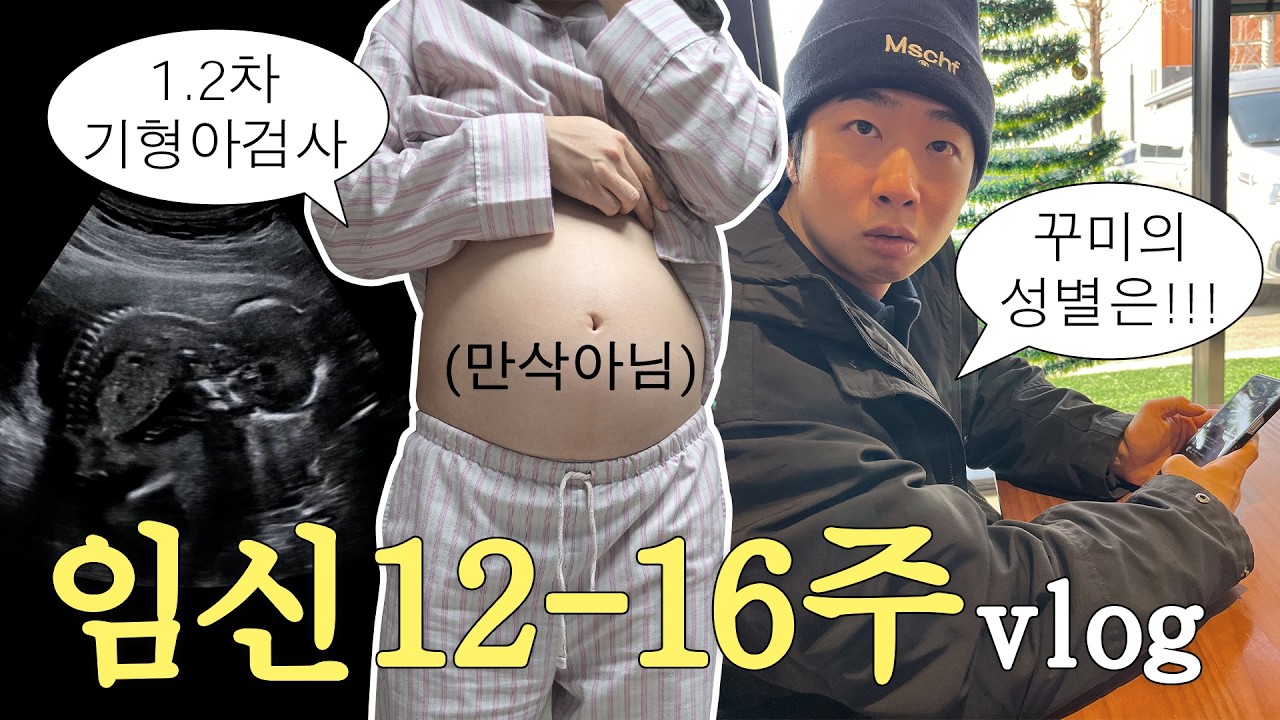 [vlog] 임신 12-16주. 꾸미야 반가워🥰