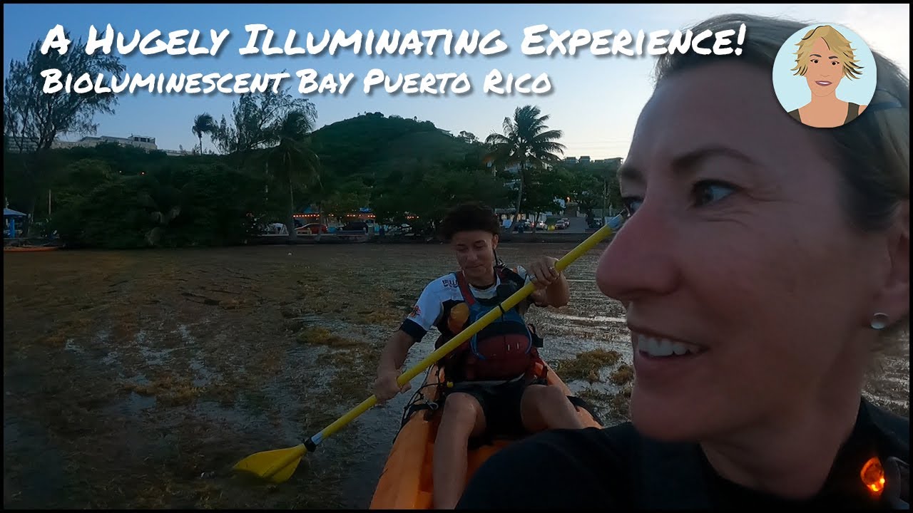 Kayaking the Bioluminescent Bay Puerto Rico, Fajardo