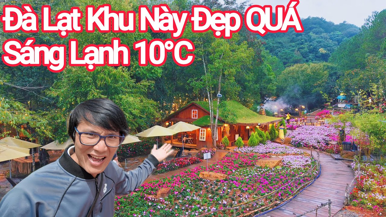 Đà Lạt Trở Lạnh 10°C, Khu Này Đẹp Bình Yên Mà Gần Trung Tâm