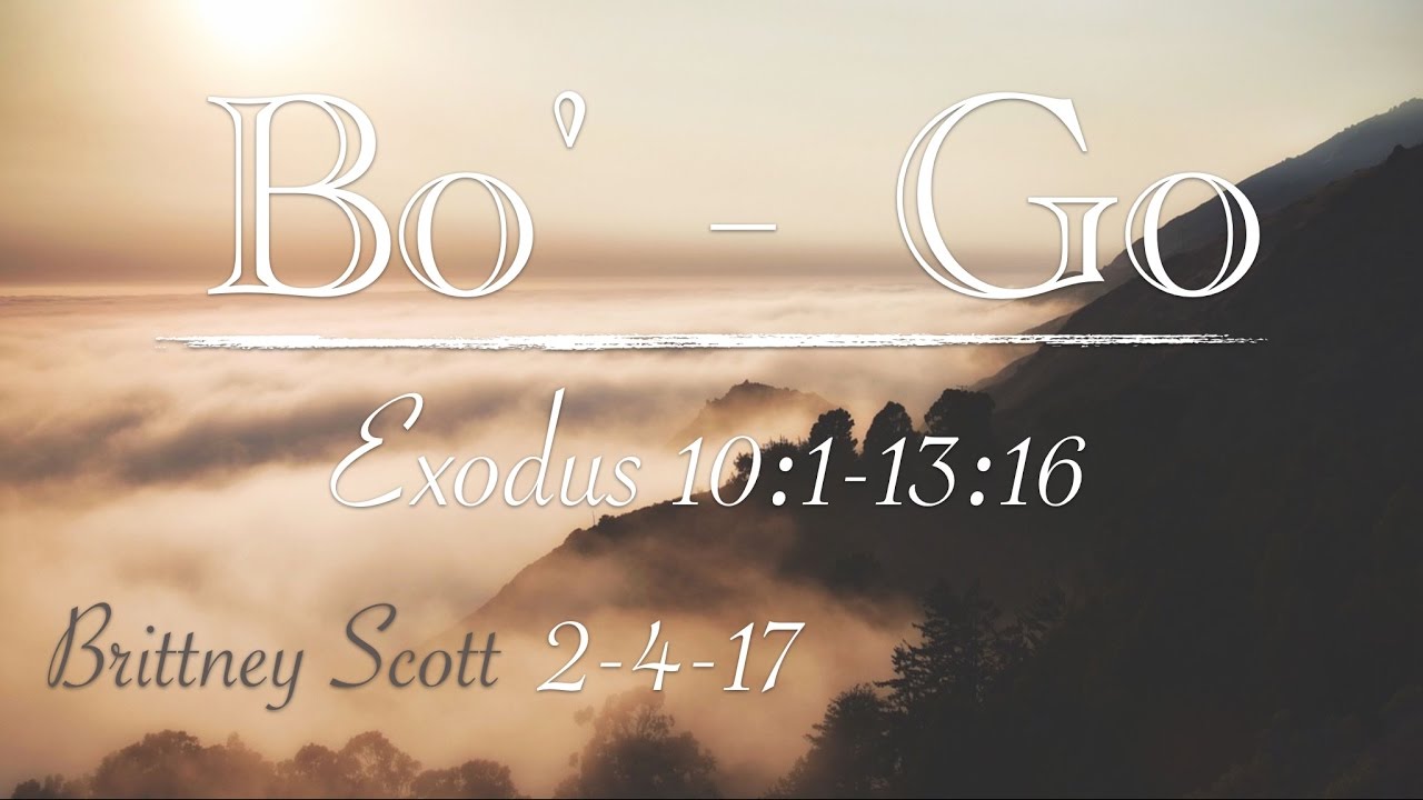 Teaser ~ Bo (Go) ~ Brittney Scott ~ 2-4-17