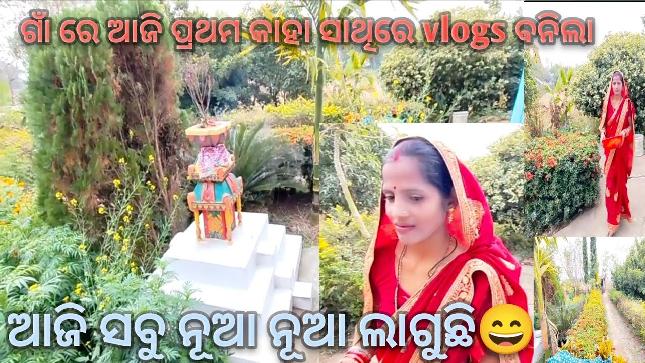 ଛାଡ଼ି Odisha ଫେରିଲି… ଘରେ ପହଞ୍ଚି ସବୁକିଛି ବଦଳିଯାଇଥିଲା 😲 | First Home Vlog
