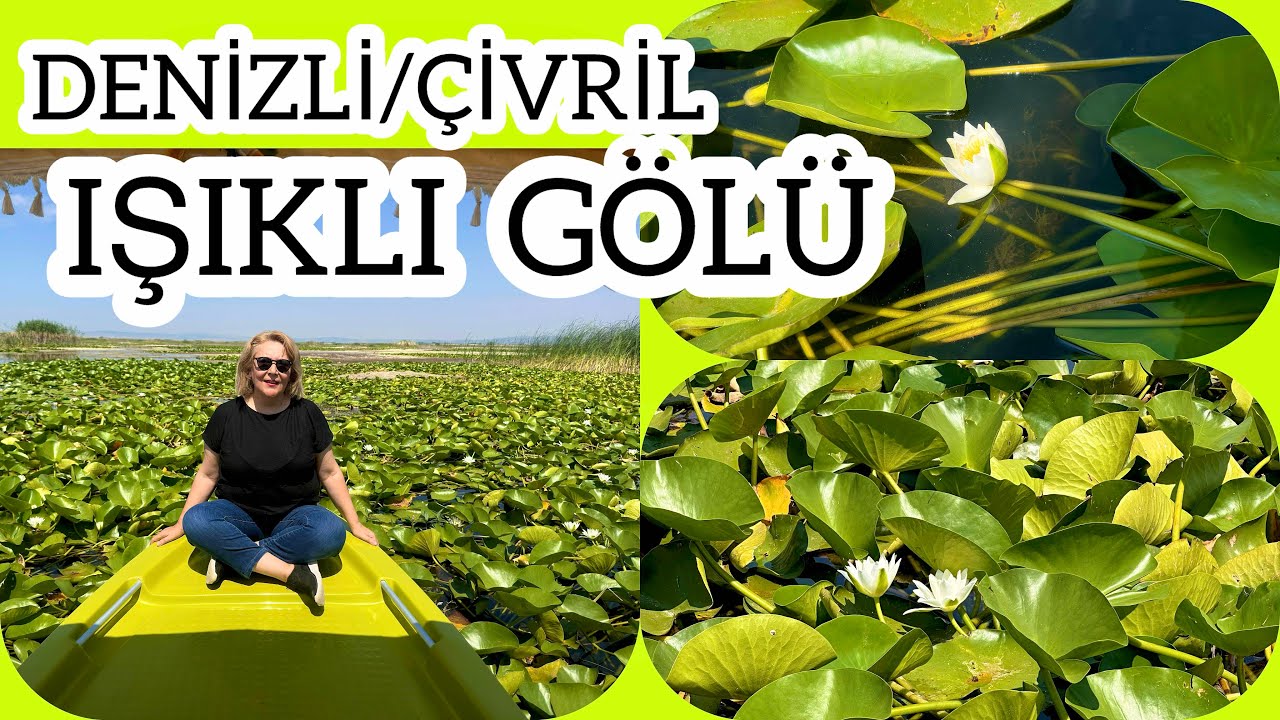 ÇİVRİL IŞIKLI GÖL | NİLÜFER MEVSİMİ | DENİZLİ ÇİVRİL IŞIKLI GÖL TEKNE TURU
