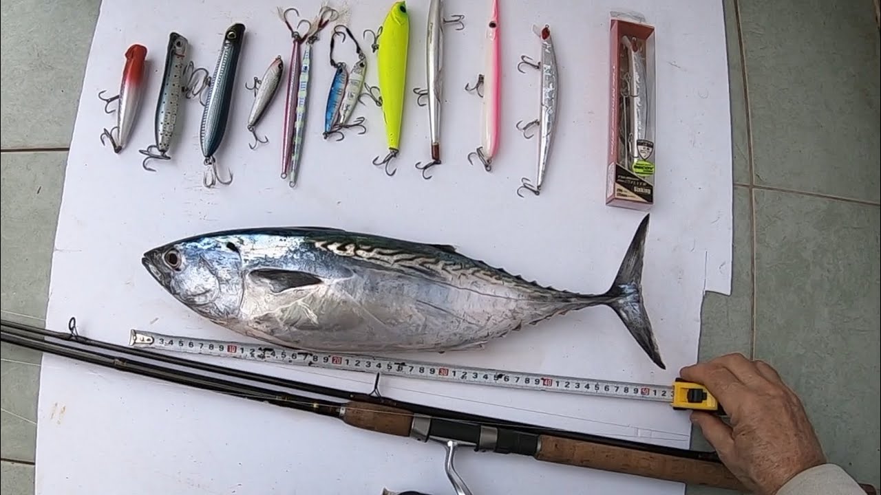 Рыбалка на тунца  на скалах Черногории. Первый тунец.Воблер “Duo Minnow Slim Flyer”-175mm 29g.