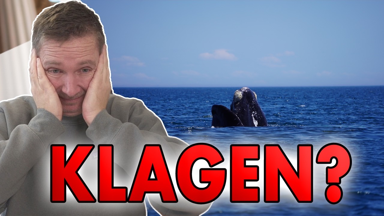Klagen und gerichtliches Vorgehen zur Walrettung. Rechtliche M&ouml;glichkeiten?