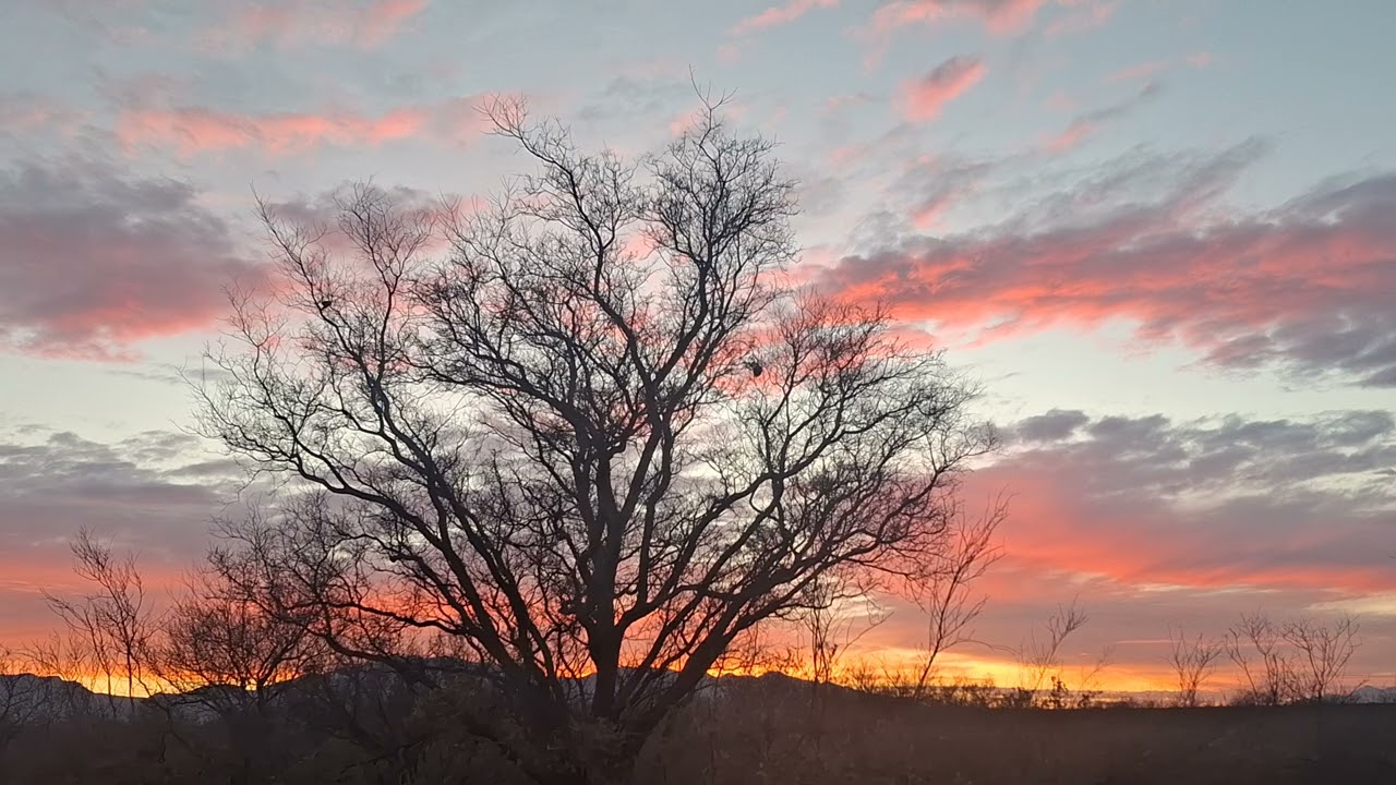 2/5/26 beautiful evening #arizona sunsets 