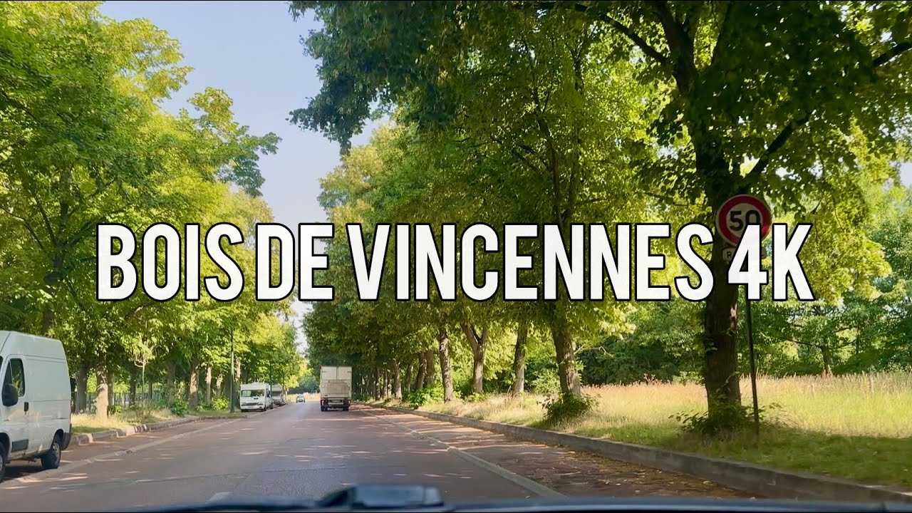 Paris 4k Jazz Driving Forest