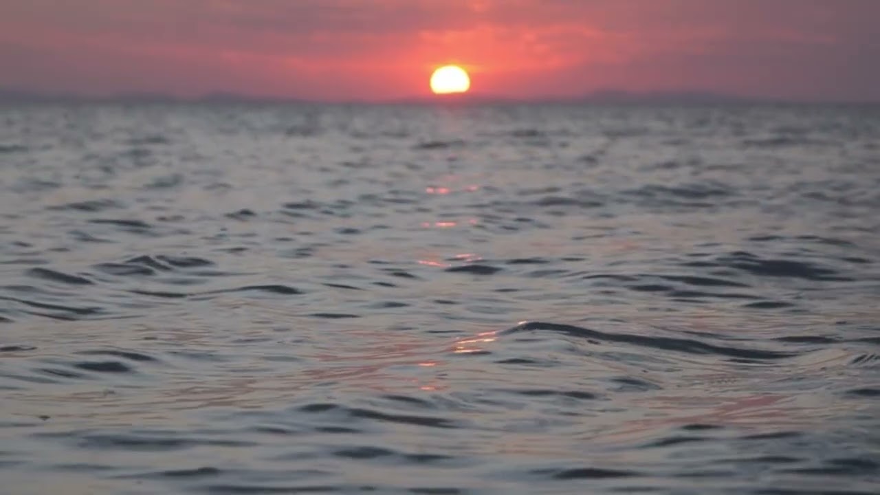 Soothing Ocean Waves for Sleeping – Calm Beach Ambience (1 Hour)