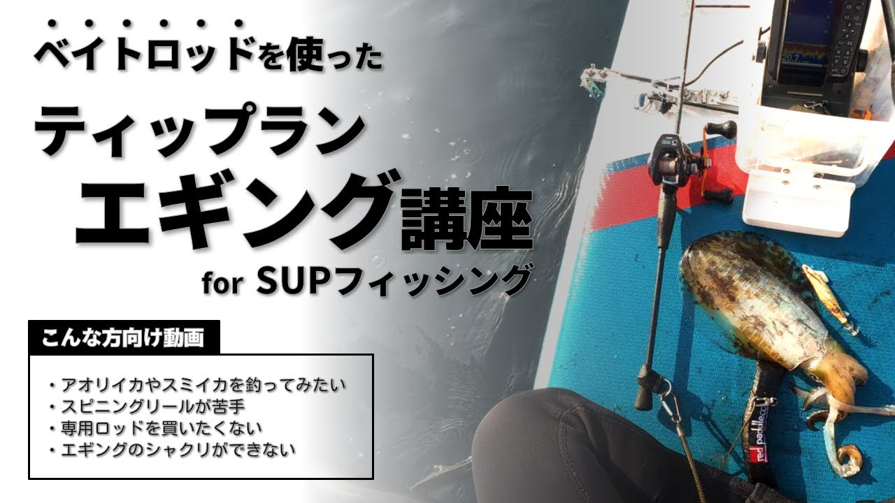 SUPフィッシング これやればアオリイカ釣れます ベイトタックルを使ったティップランエギング講座 専用ロッド・独特な例のシャクリ要りません
