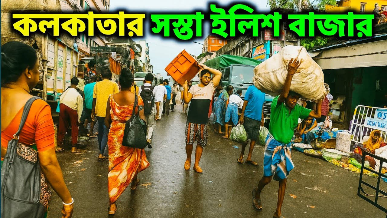 কলকাতার সবচেয়ে সস্তার ইলিশ বাজার | Biggest Fish Market of Kolkata