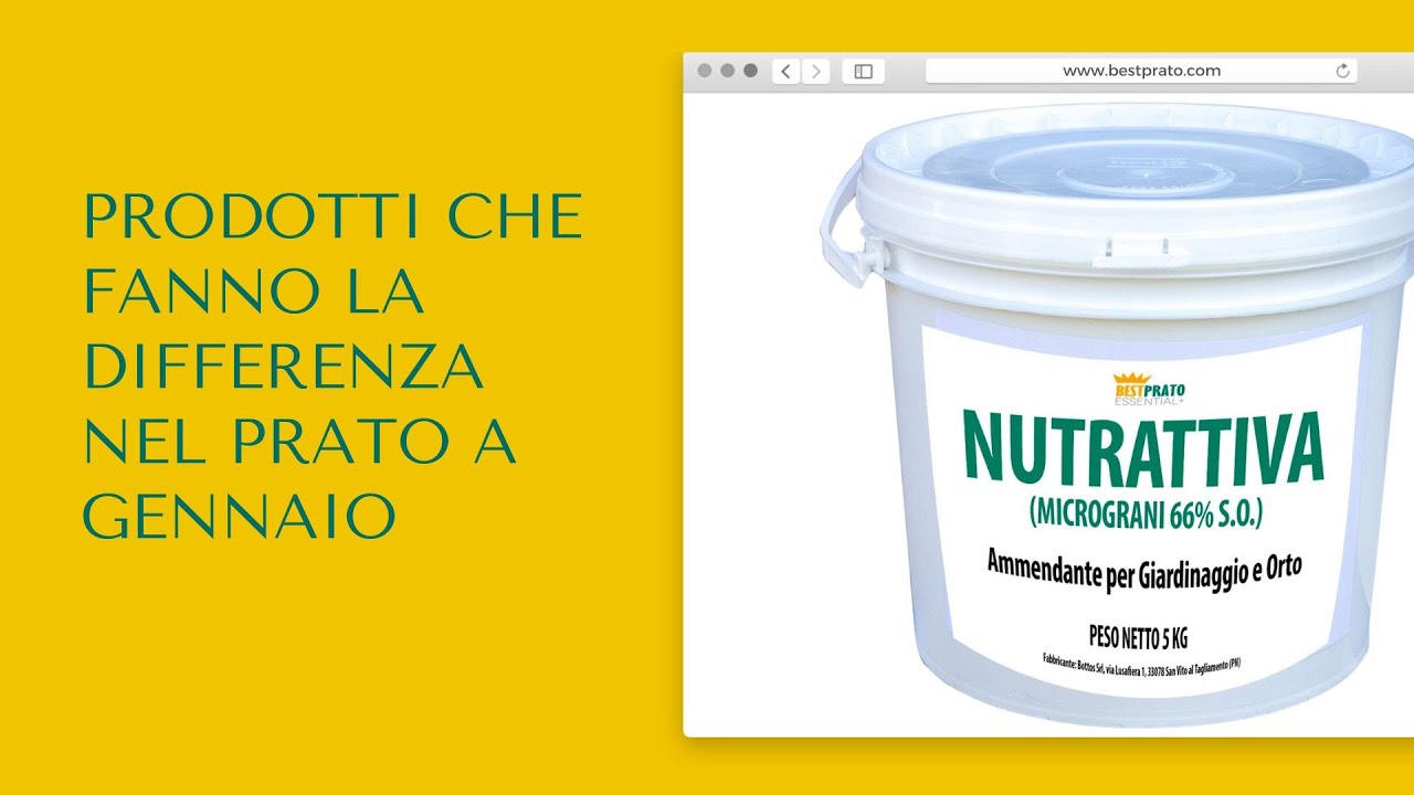 Prodotti che fanno la differenza nel prato a gennaio: AMMENDANTE ORGANICO