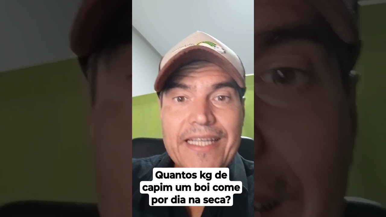 Quantos kg de capim um boi come na seca ?