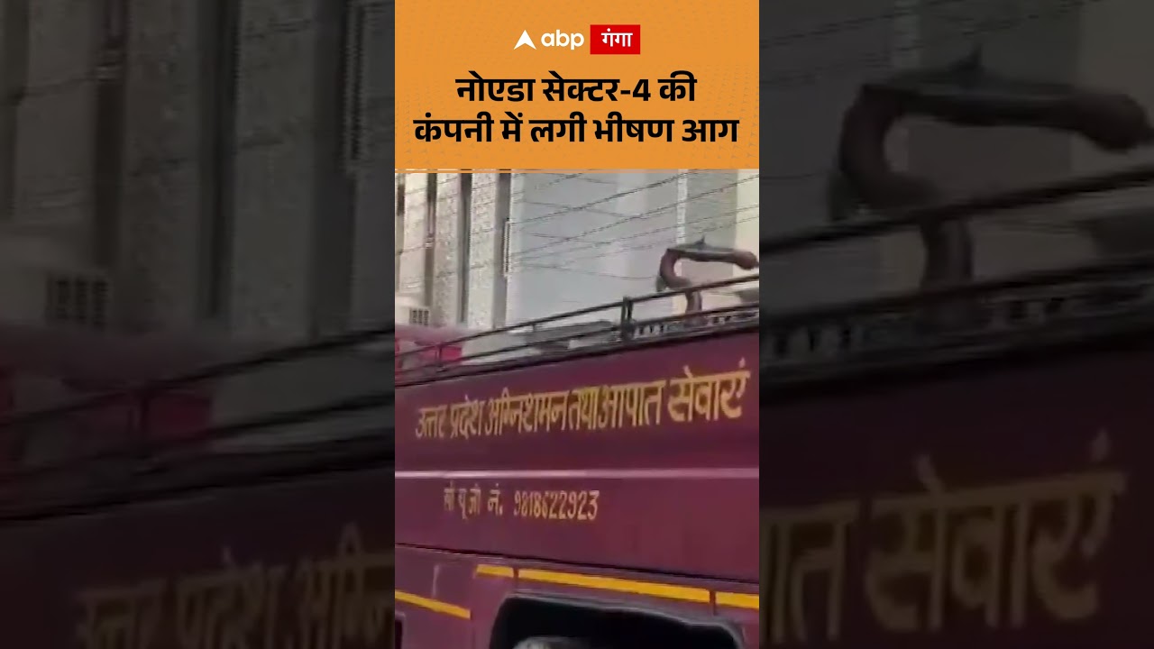 Noida Fire: नोएडा सेक्टर 4 की कंपनी में लगी भीषण आग | ABP GANGA SHORTS