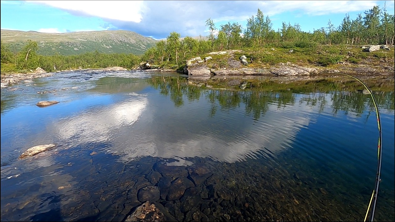 8 dagars flugfiske i arjeplogsfjällen