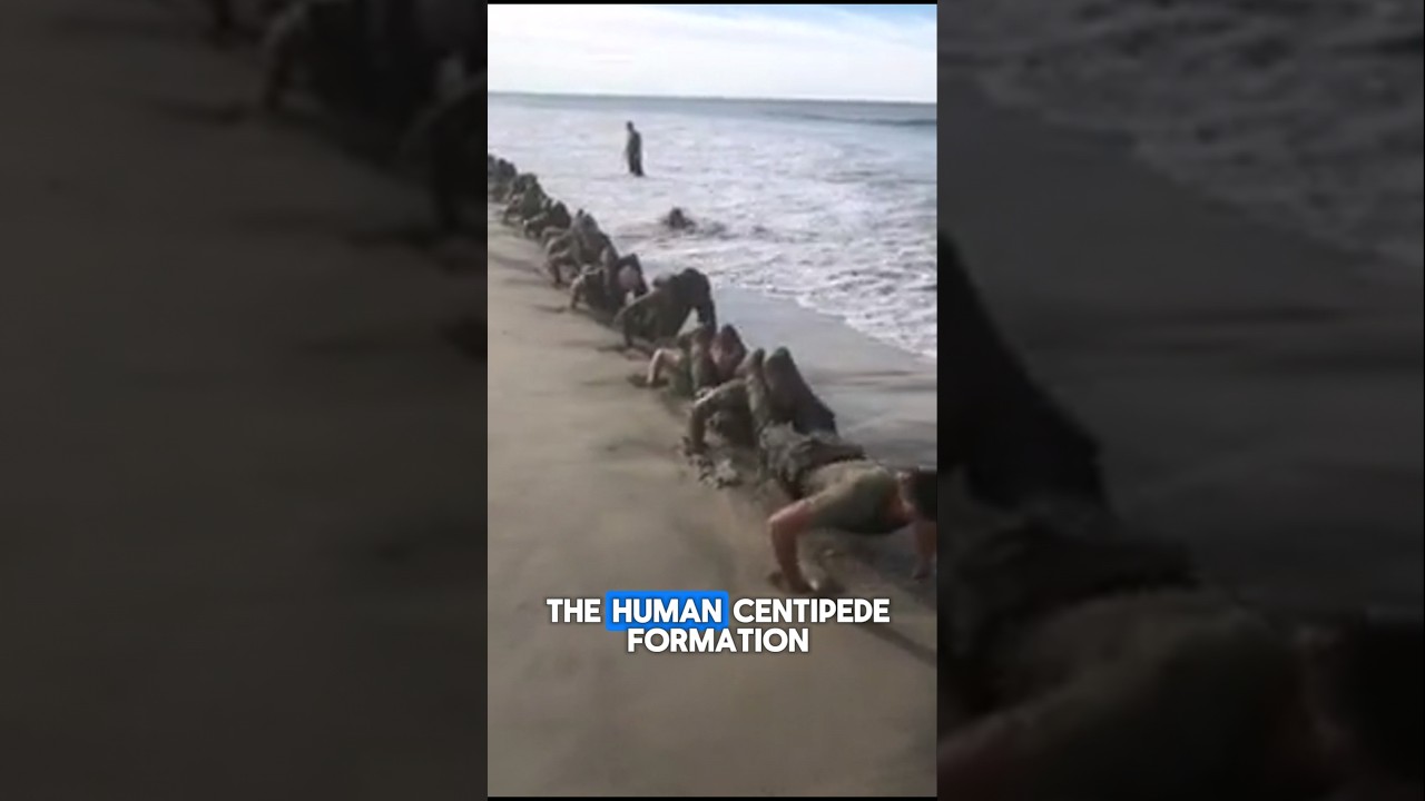 An Extreme NAVY SEAL Training Session at The Beach