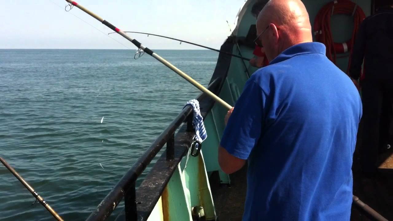 Vette Vis Vangst