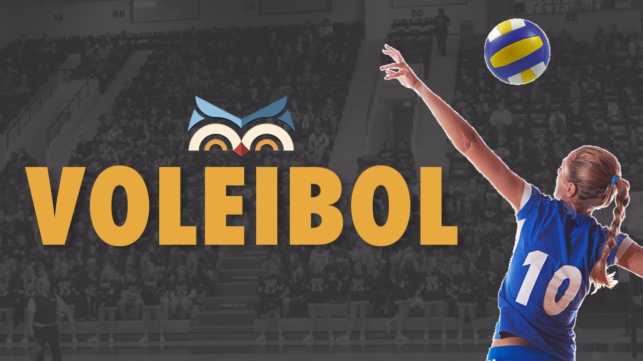 Voleibol - Regras e fundamentos - Toda Mat&eacute;ria