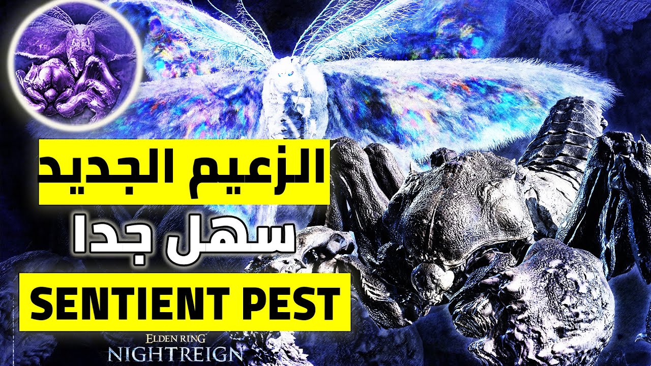 الزعيم الجديد آفة الاستشعار النسخة الاصعب | Everdark Sovereign SENTIENT PEST | الدن رنق نايت رين