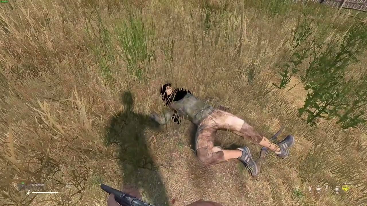 Alteria PvP Highlights #2 - DayZ