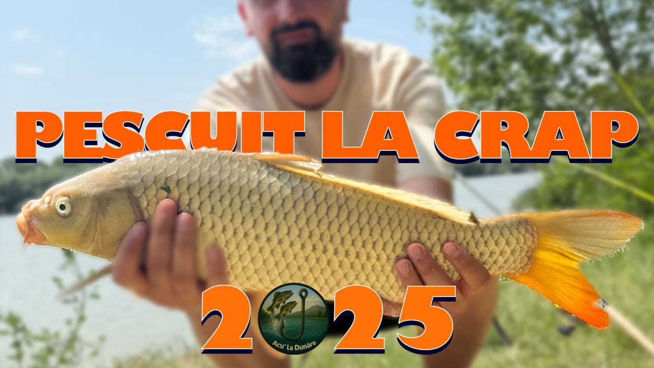 Pescuit la Crap în Delta Dunării 🐟 | Început Promitator de Sezon 2025!