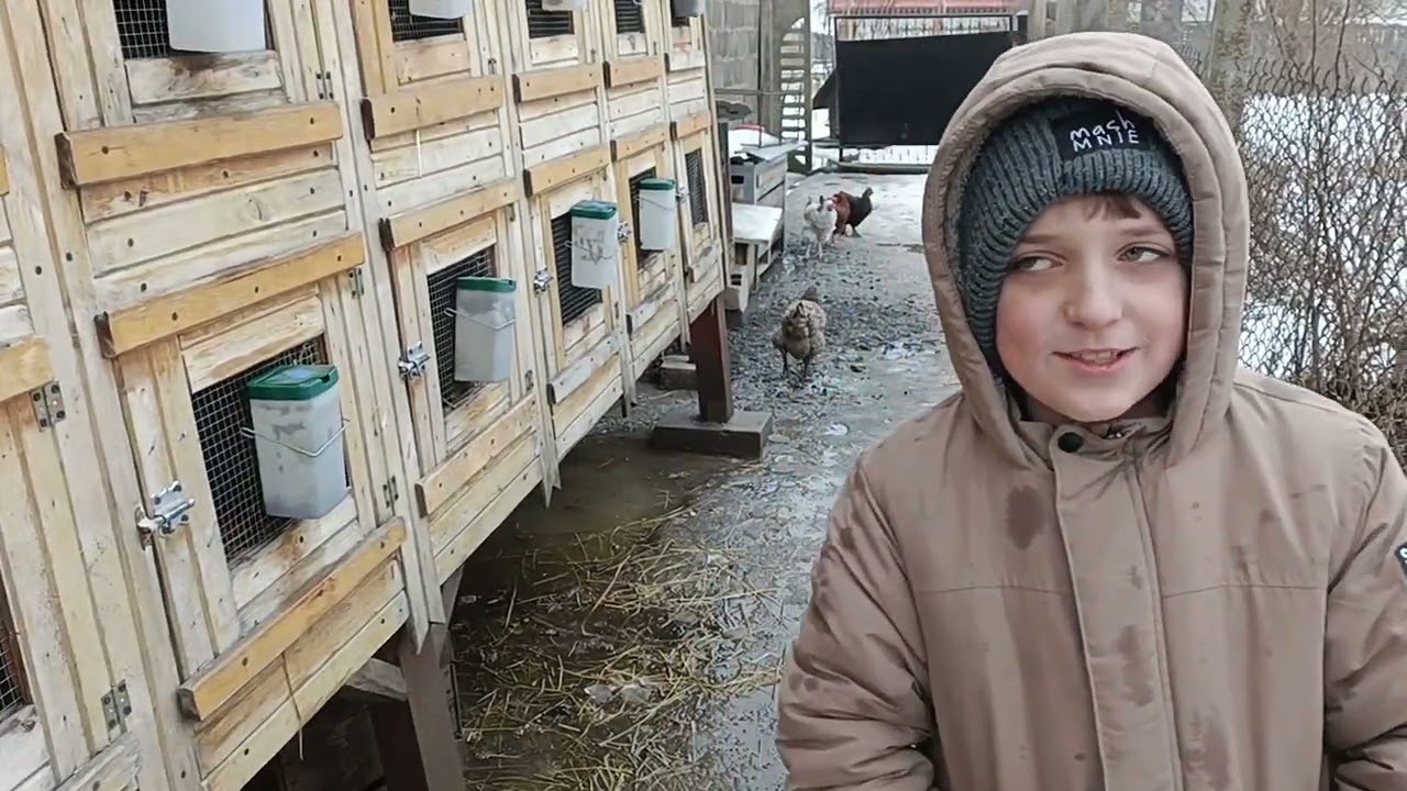 Króliki Franka - zimowa aktualizacja - a tu nie ma królika kalifornijskiego