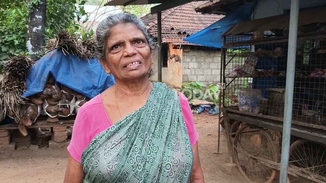 Elderly Bedridden Woman Ki**ed in Dog A**ack in Erumapetty; Stray Dog B*aten to De*th by Locals