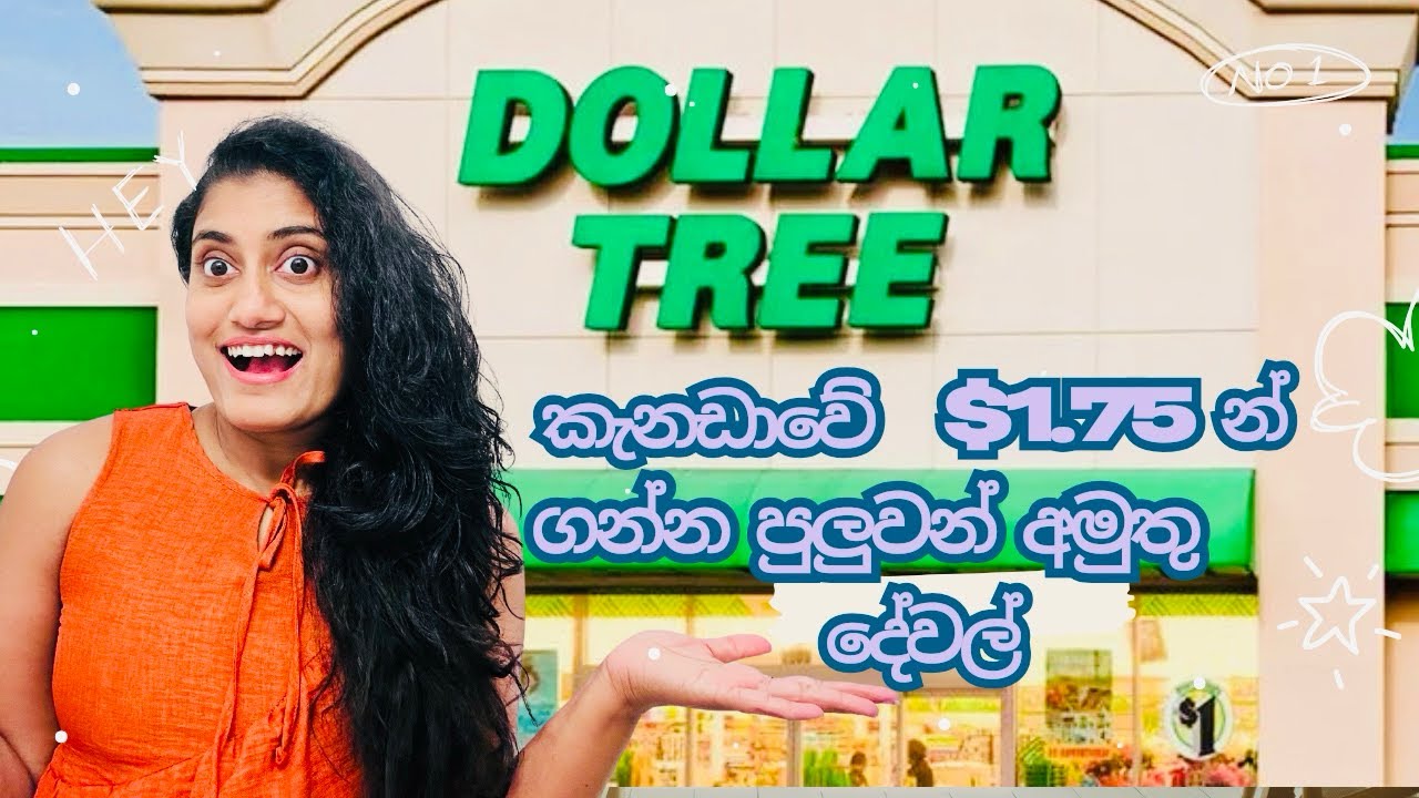 කැනඩාවේ $1.75න් ගන්න පුලුවන් අමුතු දේවල්😍Dollar Tree Canada Shopping Haul 2025|Sinhala Shopping Haul